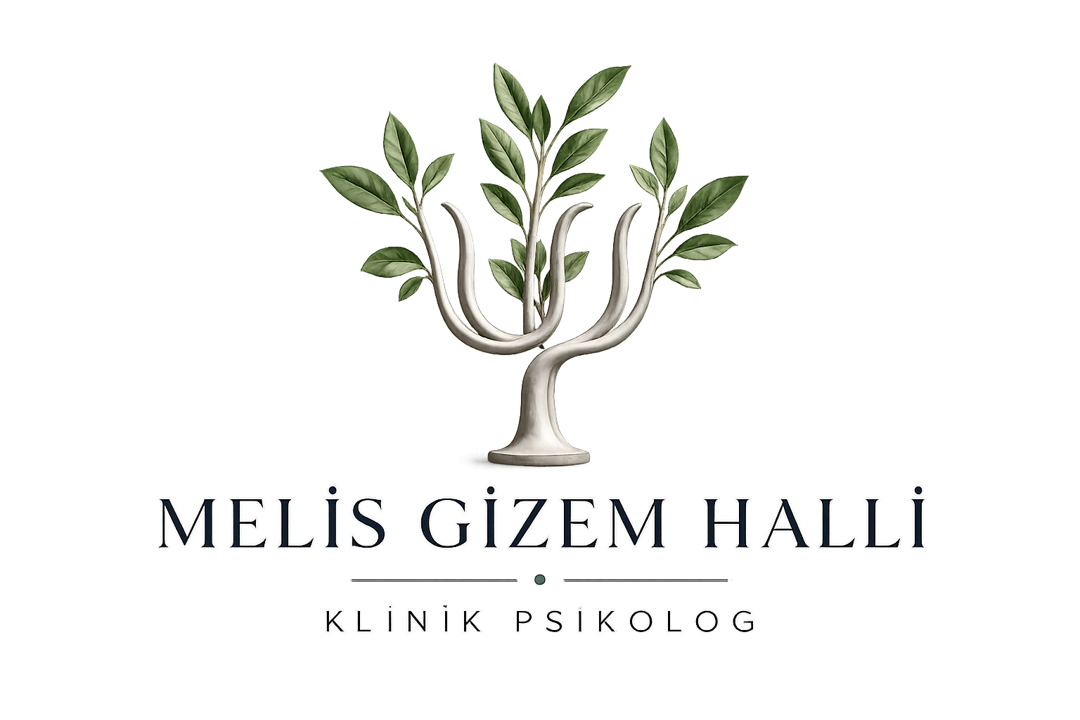 MGH Logo